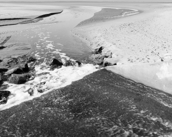 2016_02_16___20_LaPalmyre_nikon005-2