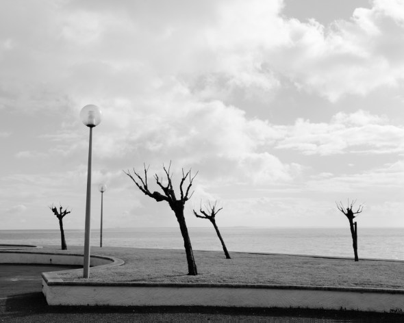 2016_02_16___20_LaPalmyre_nikon048-2